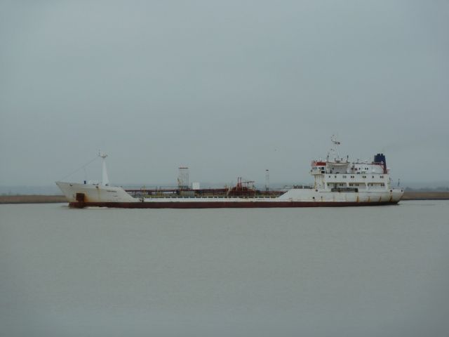 vinlandia - Paimboeuf - 25 fevrier 2011 (02).JPG
